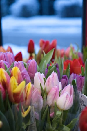 Winter in Unterhaching